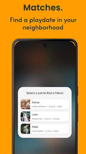 Furhour : Your Pet’s Community Screenshot 2