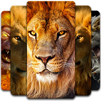 Lion Wallpaper
