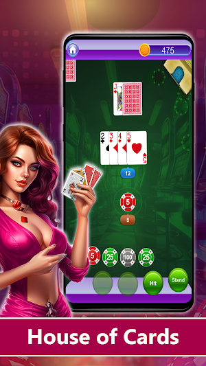 Blackjack: House of Cards Screenshot 1