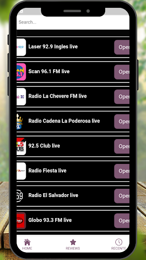 Radio Salvador FM online Screenshot 3