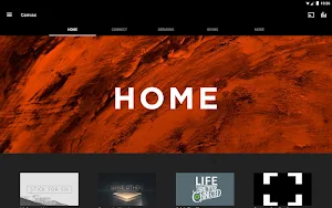 Canvas FL Screenshot 3