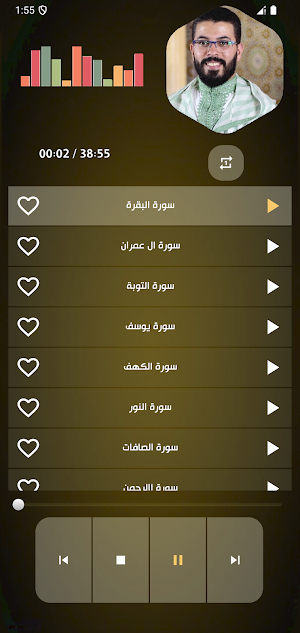 قران بصوت هشام الهراز بدون نت Screenshot 1
