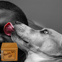 dog licking wallpaper