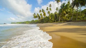Beach Wallpapers Screenshot 3