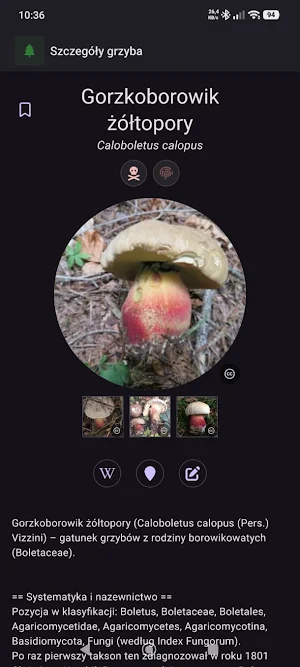 Atlas grzybów offline Screenshot 1