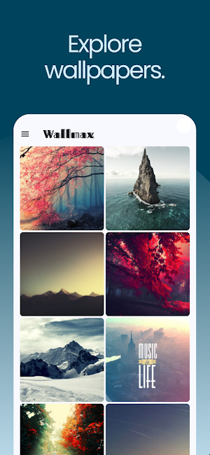 Wallmax Screenshot 0