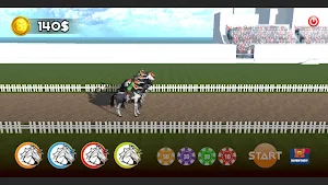 Belmont Stakes : Horse Racing Screenshot 2