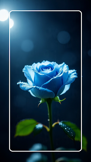 Blue Rose Wallpaper Screenshot 1