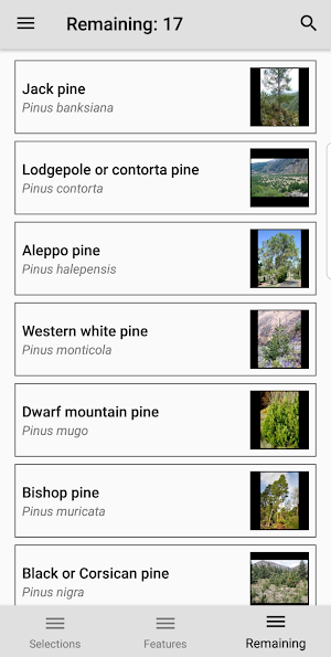 NZ Wilding Conifers Screenshot 2