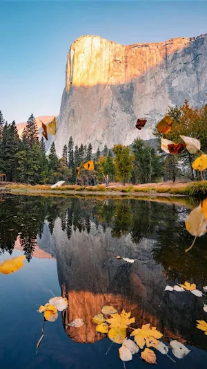Yosemite National Park Screenshot 1
