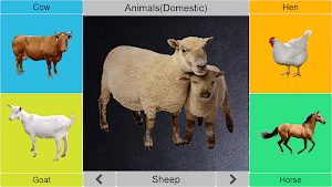 Kids Picture Book Screenshot 0