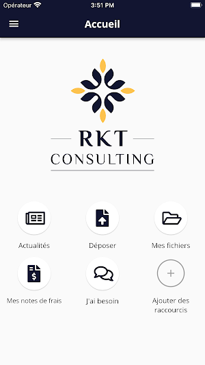 RKT CONSULTING Screenshot 1