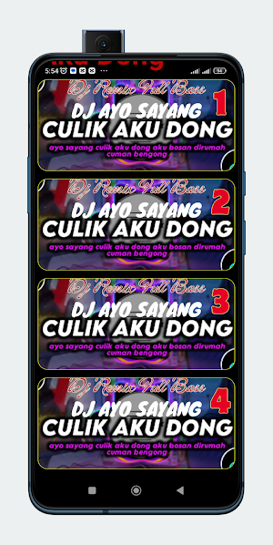 Dj Ayo Sayang Culik Aku Dong Screenshot 1