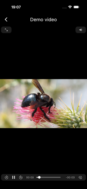 Nado Tv Screenshot 2