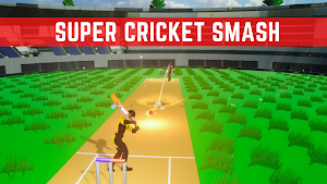 cricket game bat ball Screenshot 3