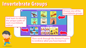 Parts of Animals Invertebrates -Montessori Zoology Screenshot 1