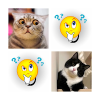 Найди пару: Котики