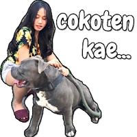 Perang Gambar Stiker WhatsApp 