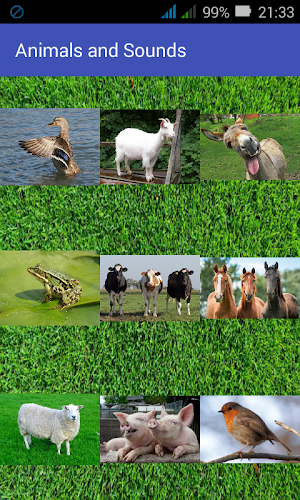Animals and Sounds Screenshot 0