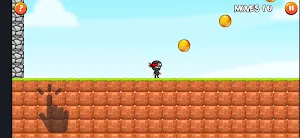 Samurai Ninja Screenshot 0