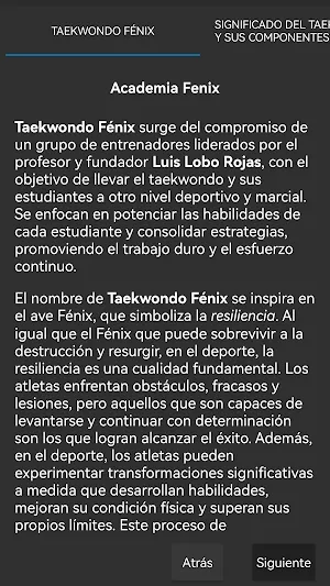 TKD FENIX Screenshot 3