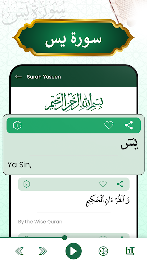 Surah Yaseen Audio Mp3 Offline Screenshot 0