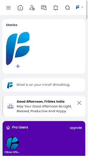 Friblex Screenshot 2