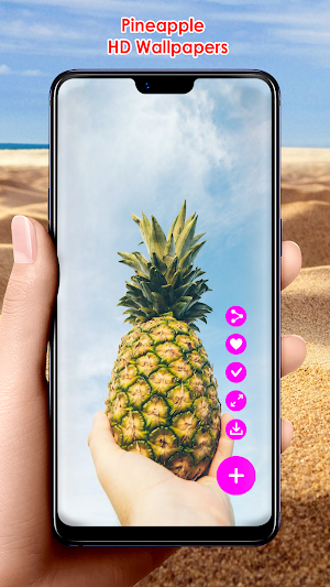 Pineapple HD Wallpapers Screenshot 2