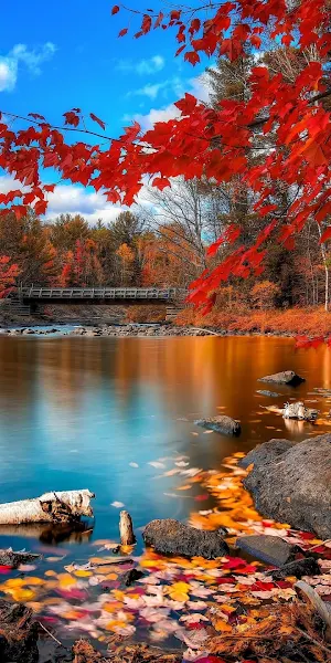 Autumn Wallpapers Screenshot 2