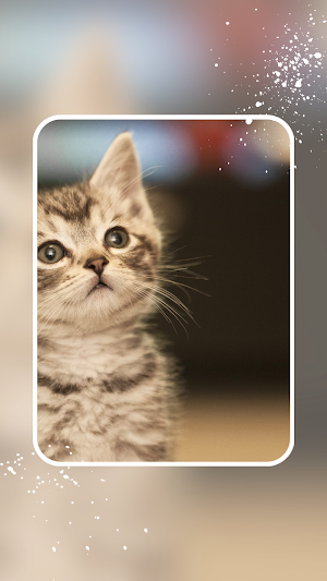 Cute Wallpaper HD Screenshot 1