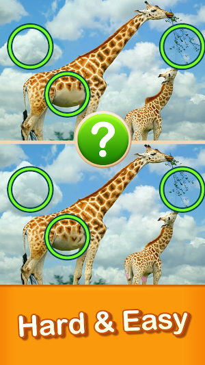 Find The Difference: Journey Screenshot 1