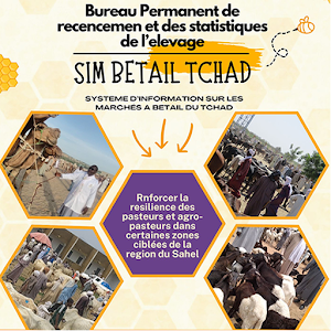 Le SIM2G au Tchad Screenshot 2