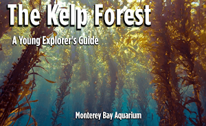 The Kelp Forest: A Young Explorer's Guide ebook Screenshot 0