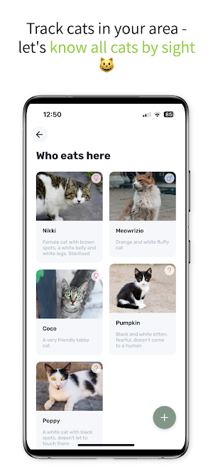 MeowFood Screenshot 3