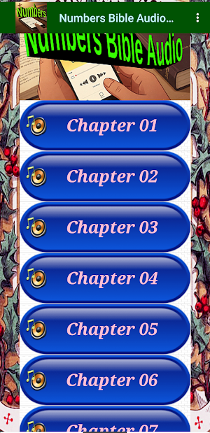 Numbers Bible Audio Offline Screenshot 2