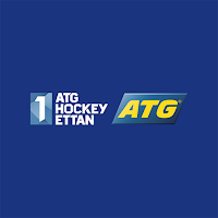 Hockeyettan Play