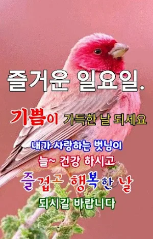 좋은아침 - 인사말 이미지 좋은글귀 모음 아침저녁인사 Screenshot 3