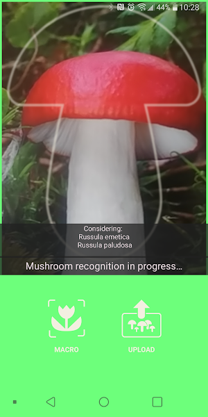 Mushrooms app Screenshot 2