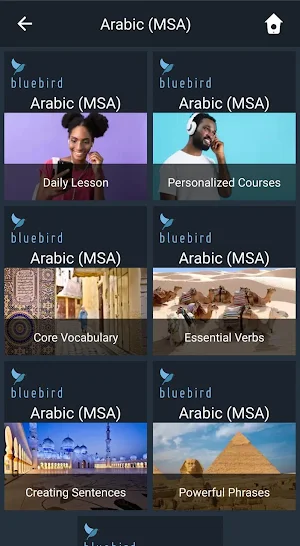 Learn MSA Arabic. Speak MSA Arabic. Study MSA. Screenshot 0
