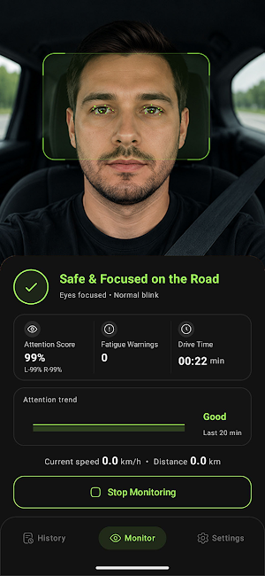 Drive Safe Screenshot 0