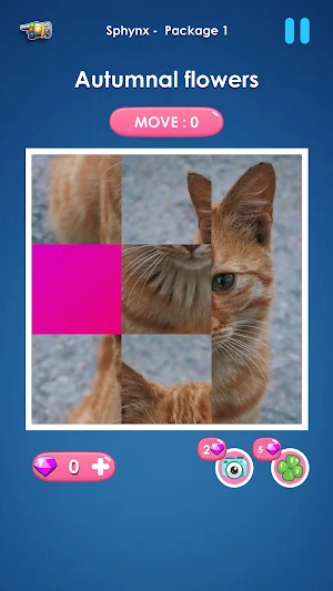 Cat slide puzzle: piece match Screenshot 2