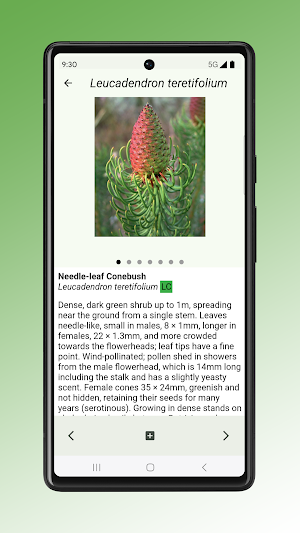 Field Guide to Renosterveld Screenshot 3