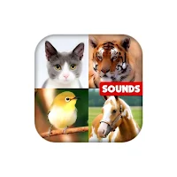 Sound Animal
