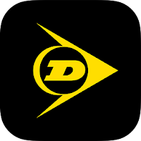 Dunlop DIY