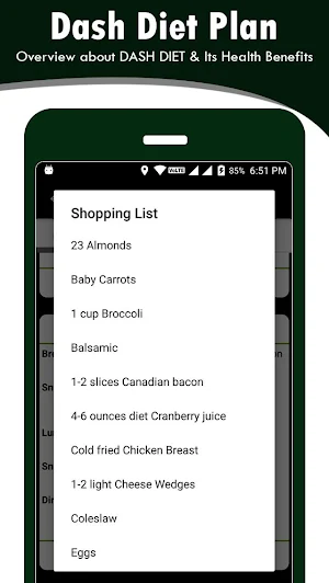 Dash Diet Plan Screenshot 1