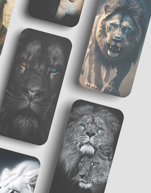 Lion Wallpapers Screenshot 2
