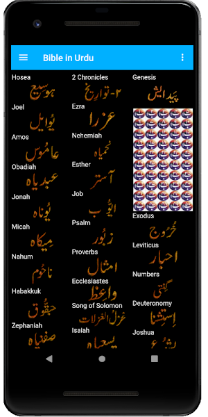 Bible in Urdu offline Screenshot 3