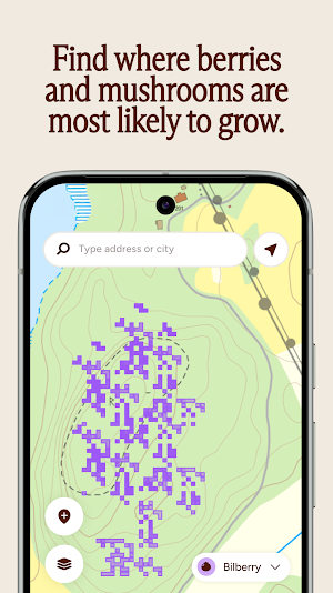 Forage: Berry & Mushroom Map Screenshot 1