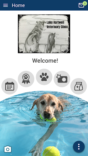 Lake Hartwell Vet Clinic Screenshot 0