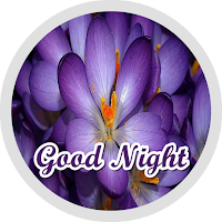 Good Night Flowers Stickers